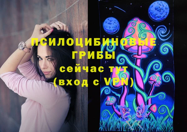 гидра Алексин
